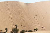 人们在巨大的沙丘上滑行图片素材