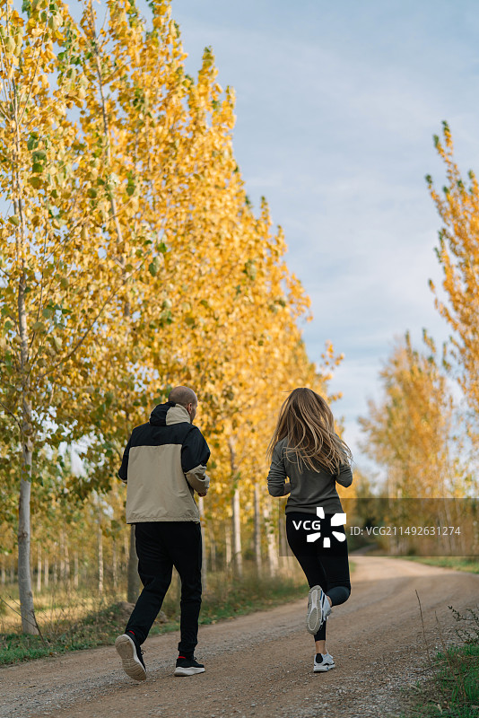 一对夫妇在秋天的马路上倚着树悠闲地锻炼和慢跑的后景图片素材