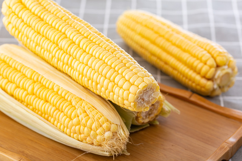 糧食玉米圖片素材