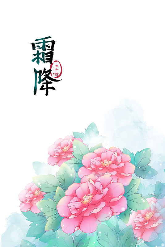 霜降——芙蓉花，古風水彩二十四節氣系列唯美花卉插畫圖片