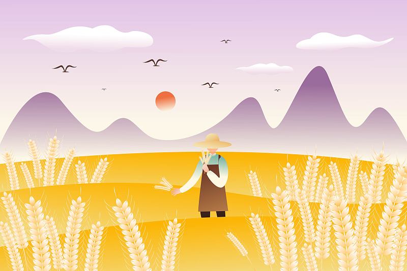 小滿麥田農民收割麥子插畫海報圖片