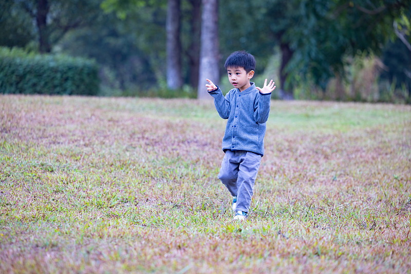 一个小男孩在草地上挥舞手臂图片下载