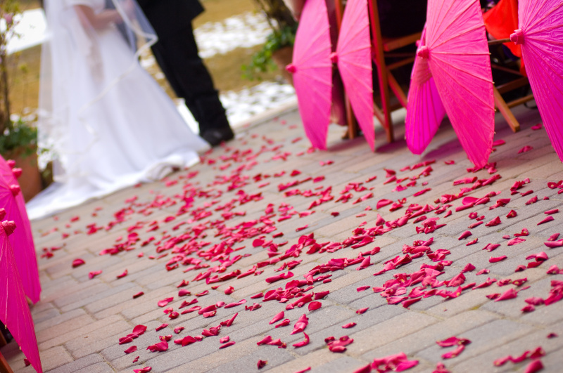 花瓣婚禮圖片素材