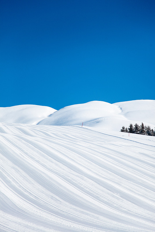 阿爾卑斯山完美的滑雪條件。原始的雪圖片素材