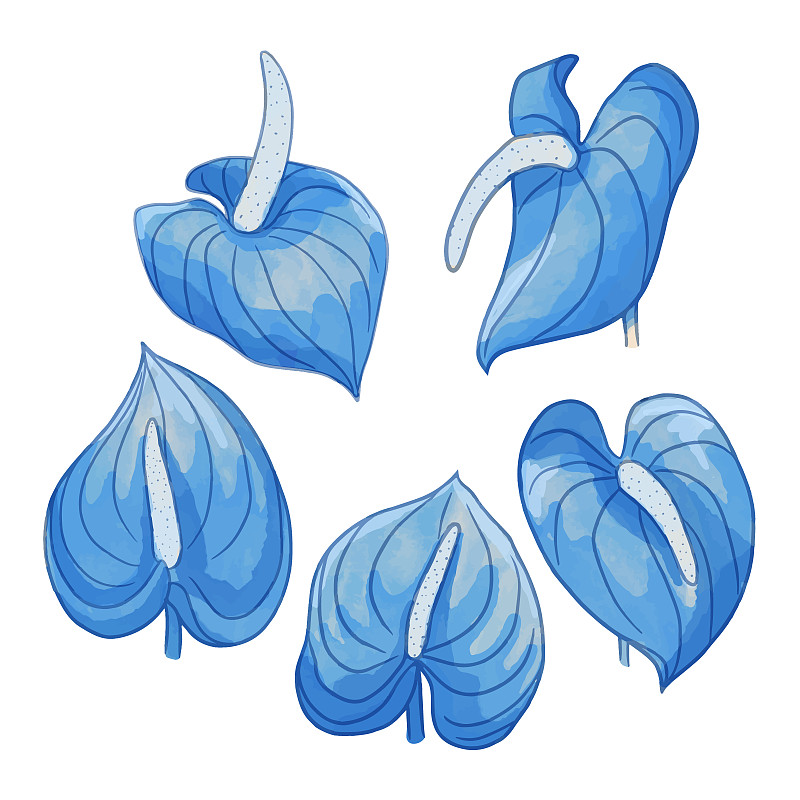 一套水彩花，藍色植物剪貼畫插畫圖片