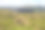 金门高地国家公园德拉肯斯堡山脉的岩石高原上生长的小灌木图片下载