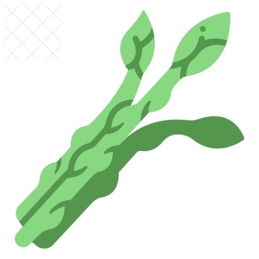 Asparagus, healthy, natural, organic, vegan icon.