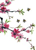 中国传统笔墨手绘插画二十四节气之春分图片素材
