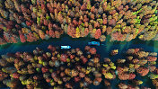 航拍安徽宁国方塘乡红杉林湿地公园秋色图片素材