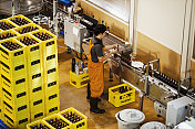 在啤酒厂，工人站在黄色的塑料板条箱旁边，上面放着啤酒瓶。图片素材