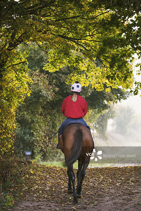 后视图的一个女人穿着背心，骑着一匹棕色的马在森林的道路上。图片素材