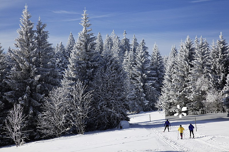 在德国黑森林的富特万根，人们在雪地上滑雪图片素材