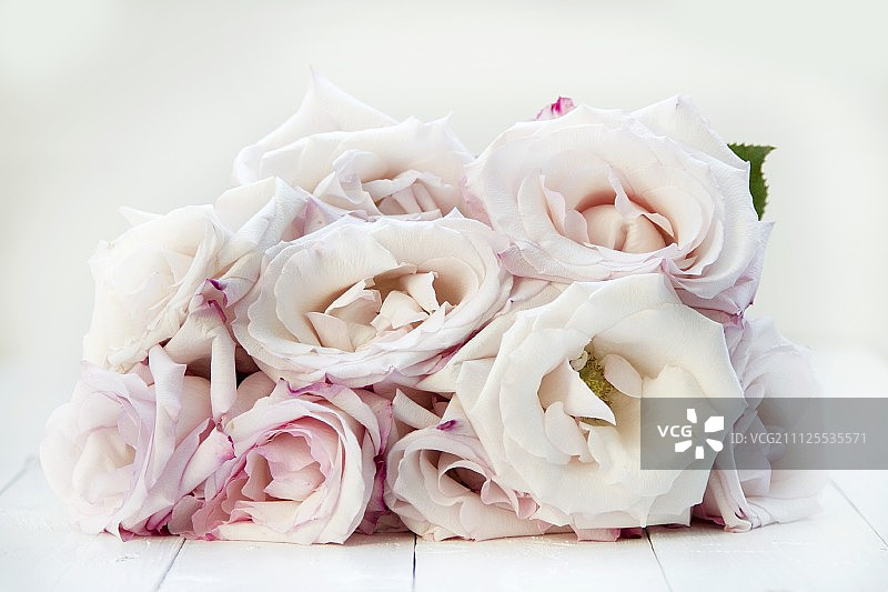 白漆木板上的一束淡粉色玫瑰图片素材