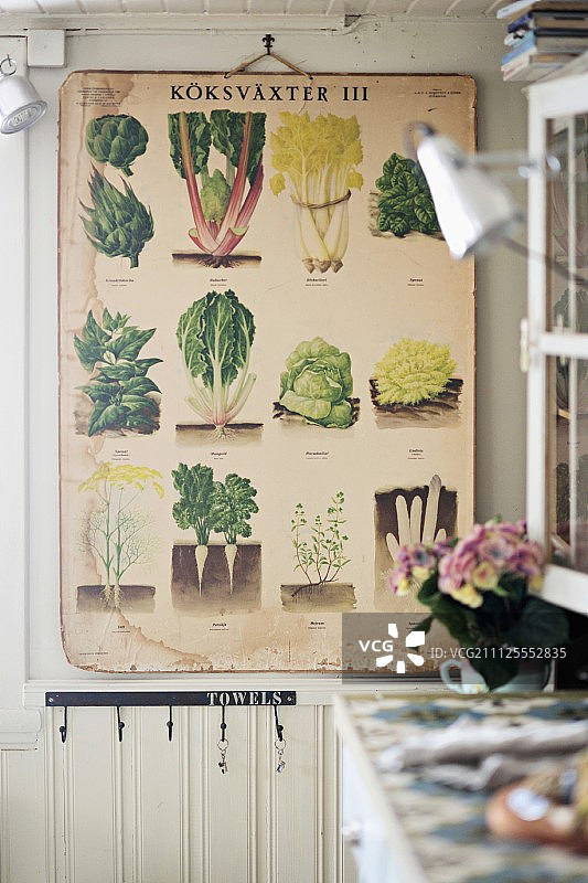 复古板，墙上有各种蔬菜的插图图片素材