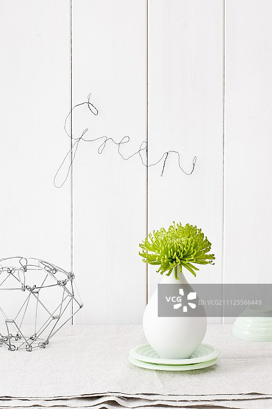 白色花瓶中的绿菊“Anastasia”和弯曲的电线拼出的单词“Green”图片素材