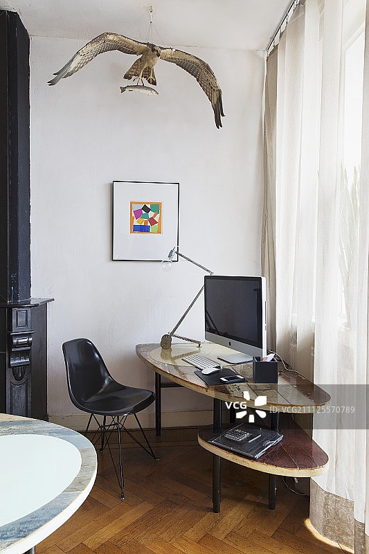 黑色，经典风格的贝壳椅在DIY电脑桌下面填充鱼鹰图片素材