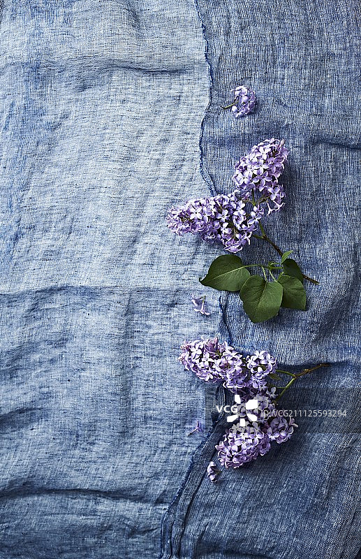 蓝色亚麻布上的淡紫色的小枝图片素材