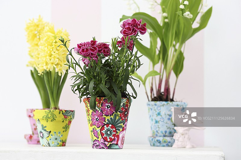 春天的花朵在陶土盆上覆盖着五颜六色的织物图片素材