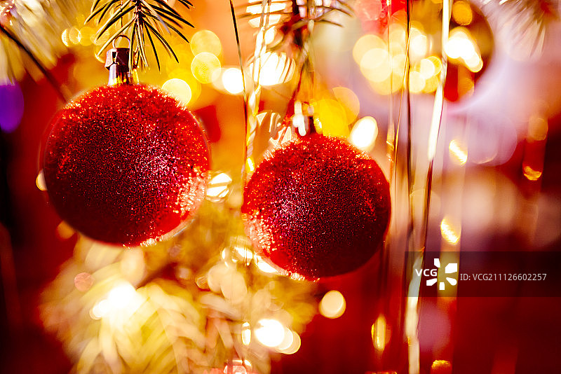 两棵红色的圣诞树装饰品横挂在一棵圣诞树上图片素材