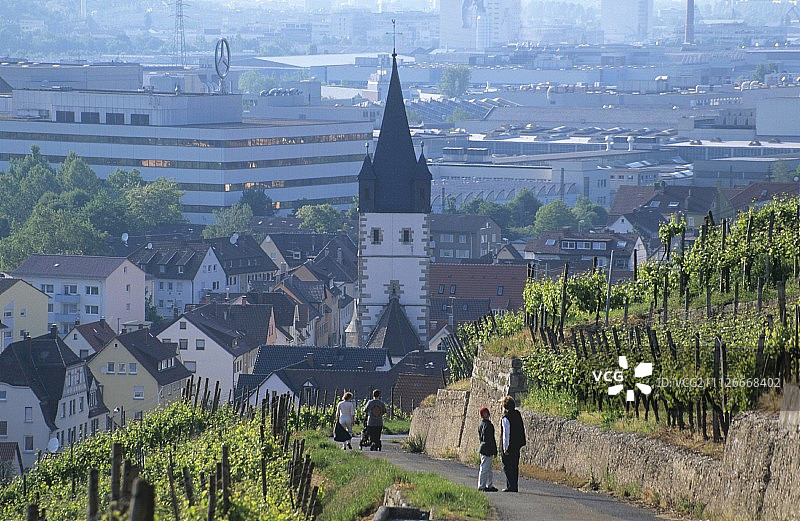 俯瞰葡萄园，埃斯林根-梅廷根，Württemberg，德国图片素材
