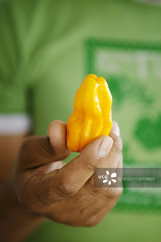 一只手拿着黄色的哈瓦那辣椒图片素材