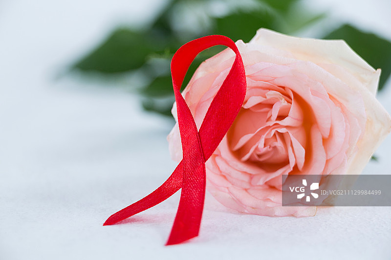 特写红丝带与粉红玫瑰在白色的背景图片素材