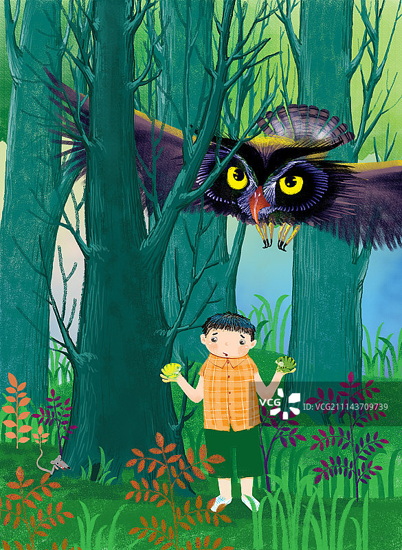 童年梦幻系列组图500幅-猫头鹰和男孩图片素材