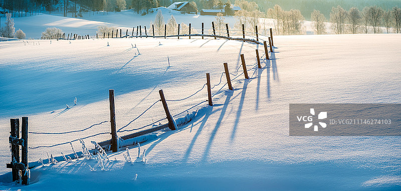 美丽的冬日图片素材