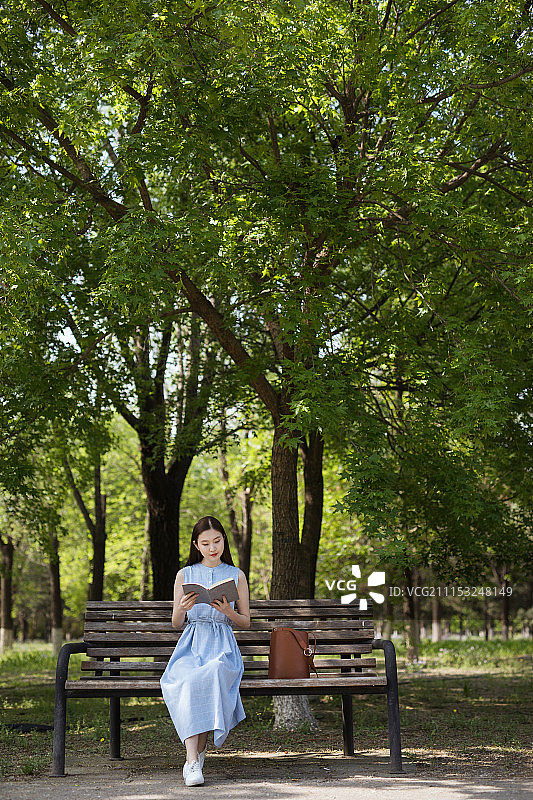 坐在公园里看书的年轻女大学生图片素材