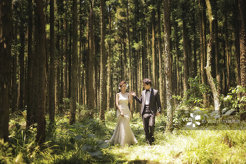 新郎和新娘手牵着手走在森林里图片素材