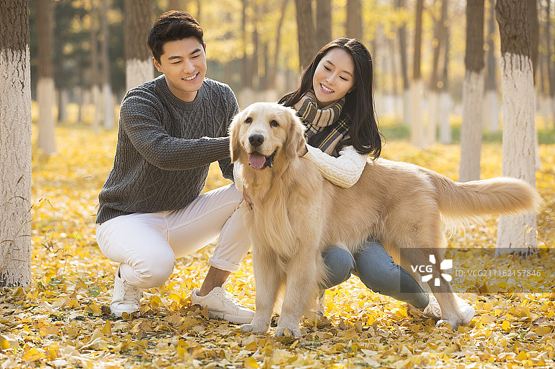 年轻情侣和宠物狗在秋天的树林里玩耍图片素材