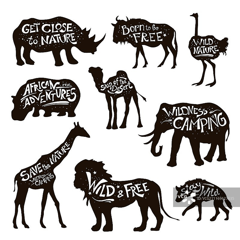 野生动物刻字黑色图标集。野生非洲动物图标设置保存自然信息白色黑色字母抽象孤立矢量插图图片素材