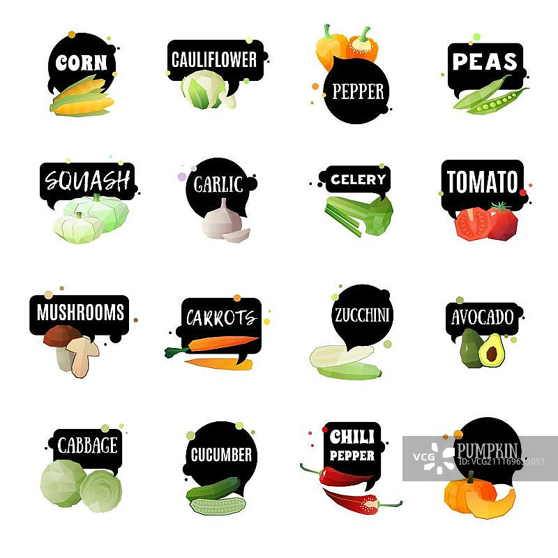 带标签的蔬菜。蔬菜标签集16个孤立园制作的绿色杂货多边形图像和适当的命名标签向量插图图片素材