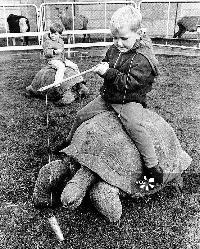 善良骑着一只巨龟，英格兰，大不列颠图片素材