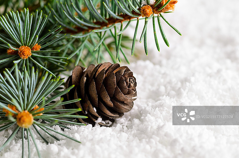 圣诞和新年的冷杉树在雪图片素材