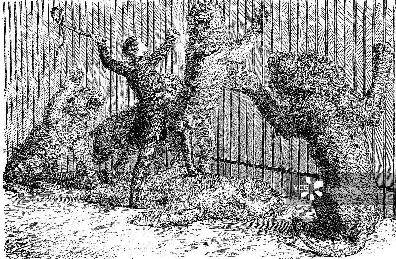 插图由托马斯·巴蒂，英国驯狮师和马戏团老板和他的狮子，木刻于1864年图片素材