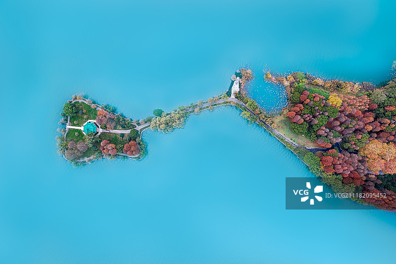 湖北武汉东湖的秋色图片素材
