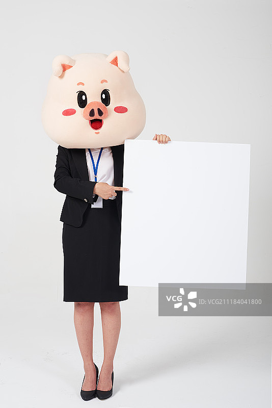 女商人猪头举着白色空白横幅的摄影图片素材