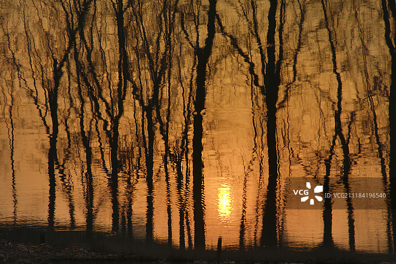 树林倒影夕阳图片素材