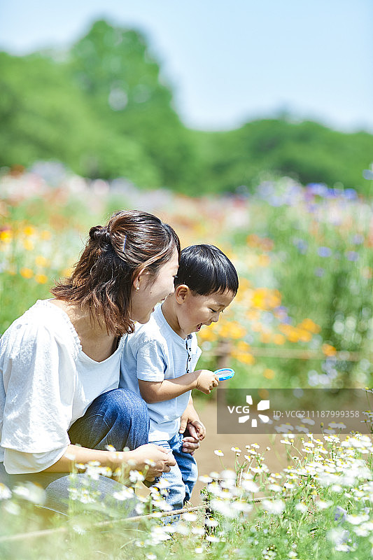 一个日本家庭在城市公园里图片素材