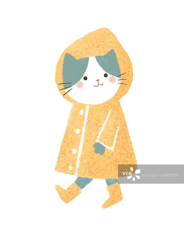 穿雨衣的猫图片素材
