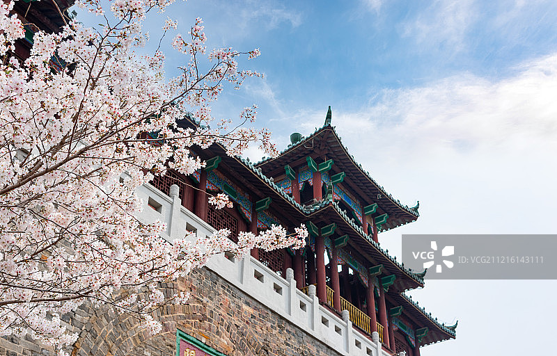 南京古建筑与樱花图片素材