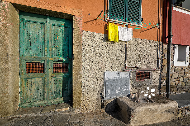 在意大利马纳罗拉的街道上睡着的猫图片素材