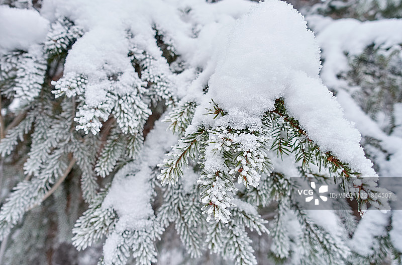 白色美丽的自然冬季背景图片素材