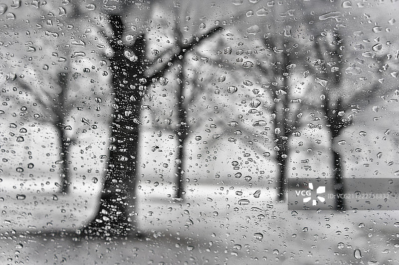 冬天公园与树的剪影透过雨点在一个雪图片素材