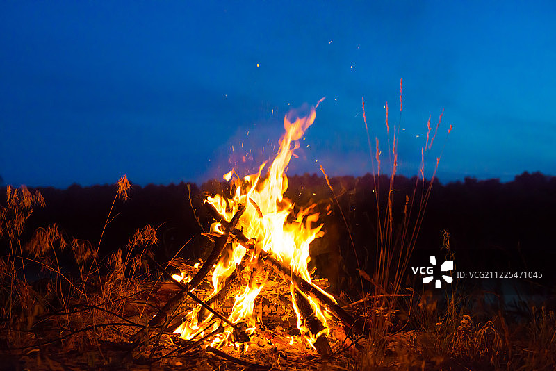 森林里的篝火夜图片素材