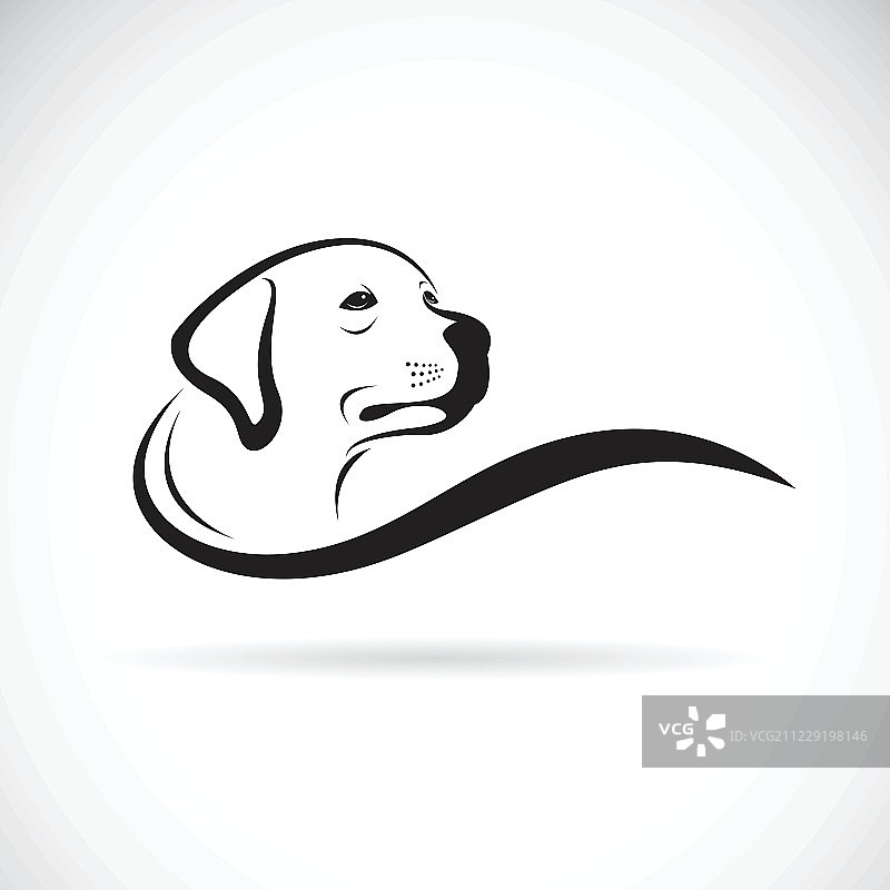 矢量狗头设计(拉布拉多寻回犬)在白色背图片素材