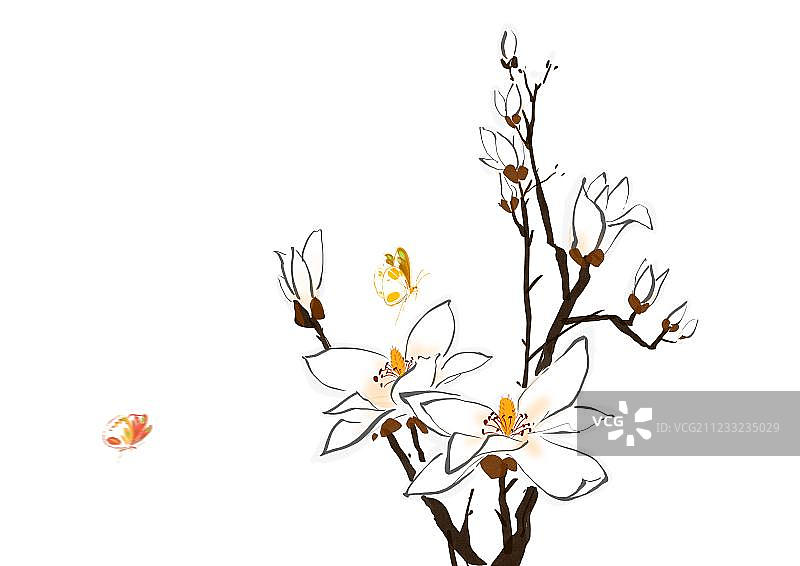 传统水墨画白色玉兰花图片素材
