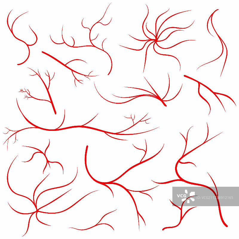 眼静脉是人眼血管的血管定形图片素材
