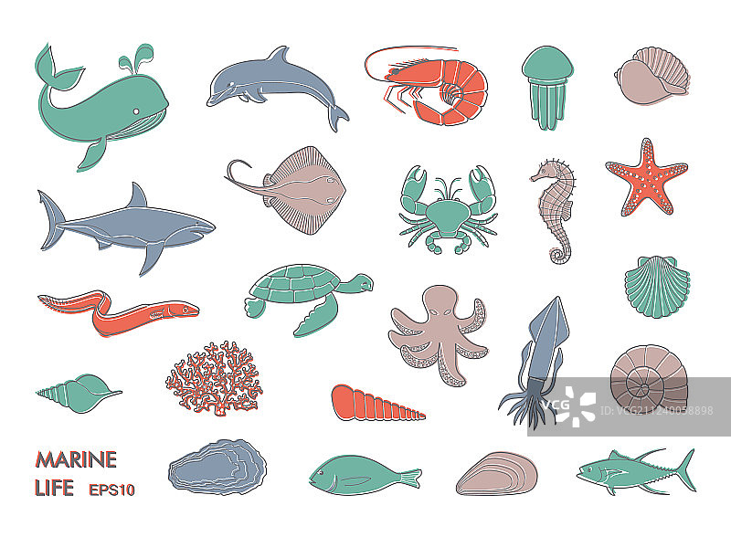 海洋生物的图标图片素材